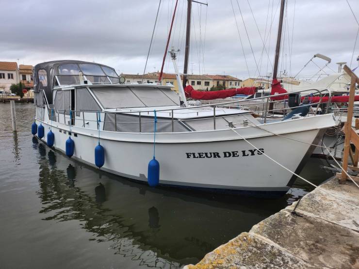 VEDETTE - HOLLANDAISE à vendre