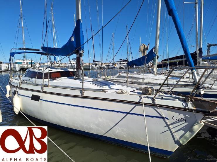 WRIGHTON - BILOUP 10 à vendre