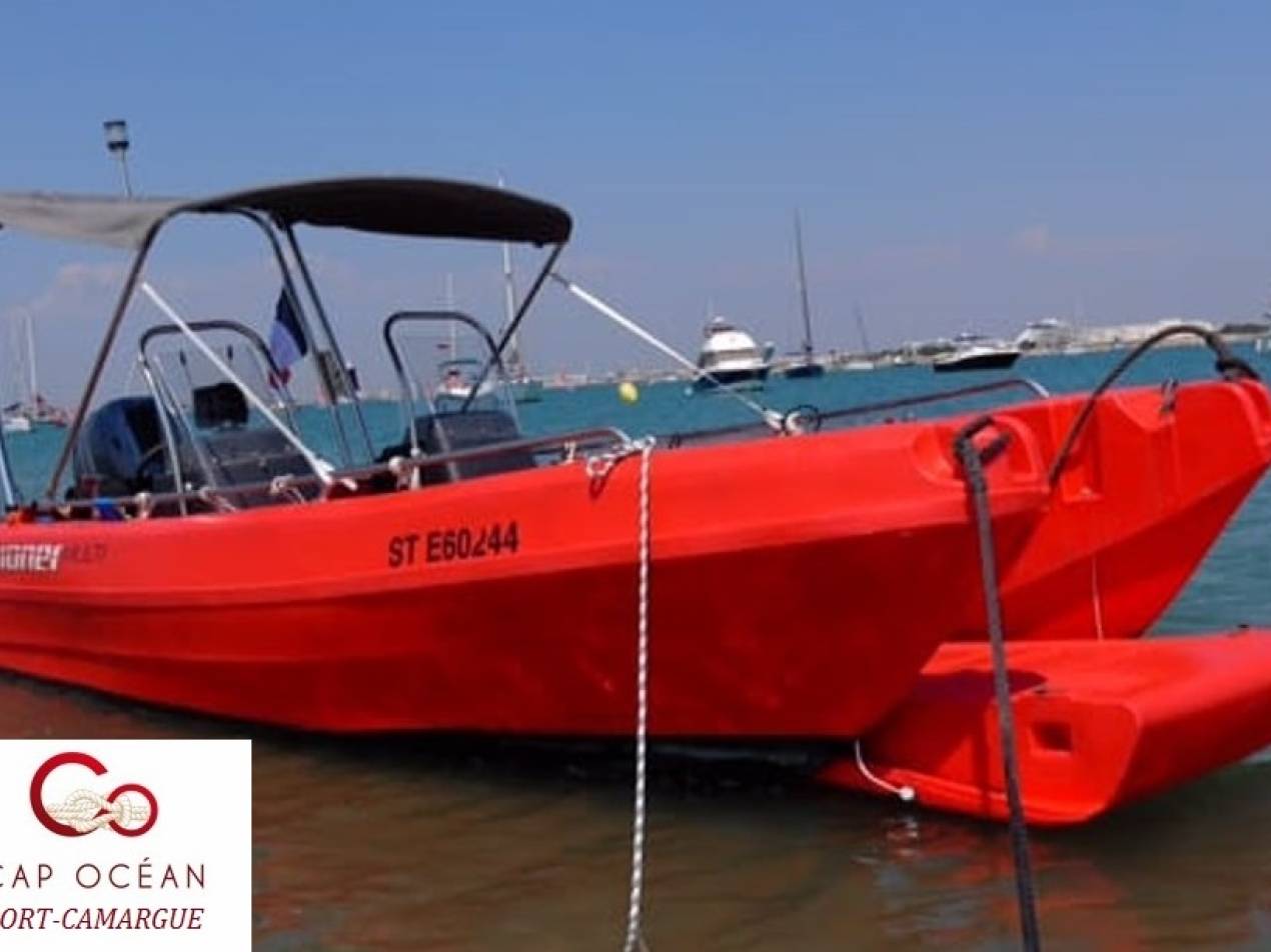 PIONER - MULTI à vendre