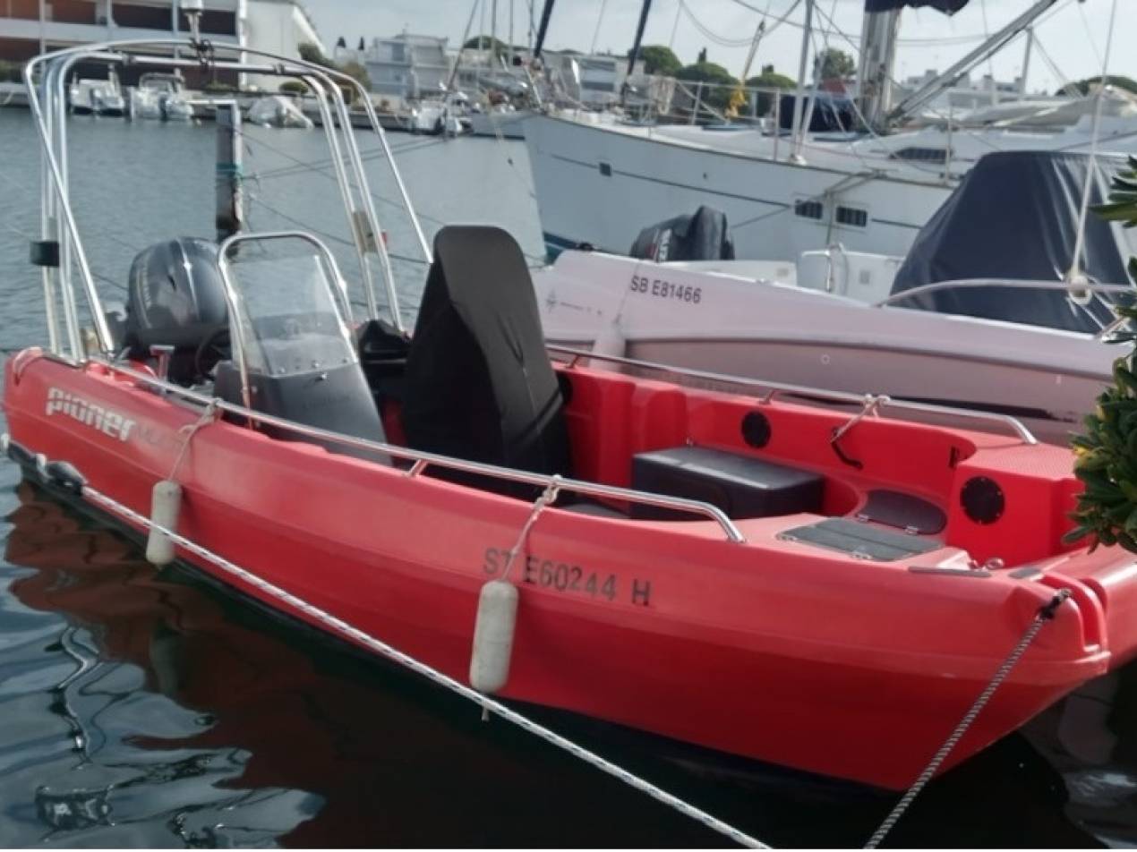 PIONER - MULTI à vendre