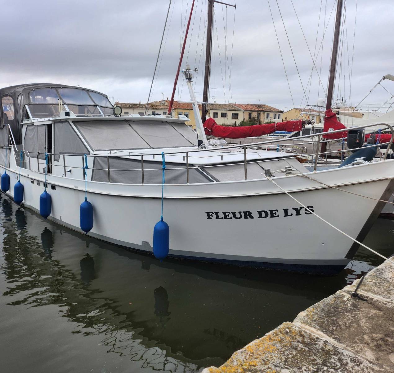 VEDETTE - HOLLANDAISE à vendre