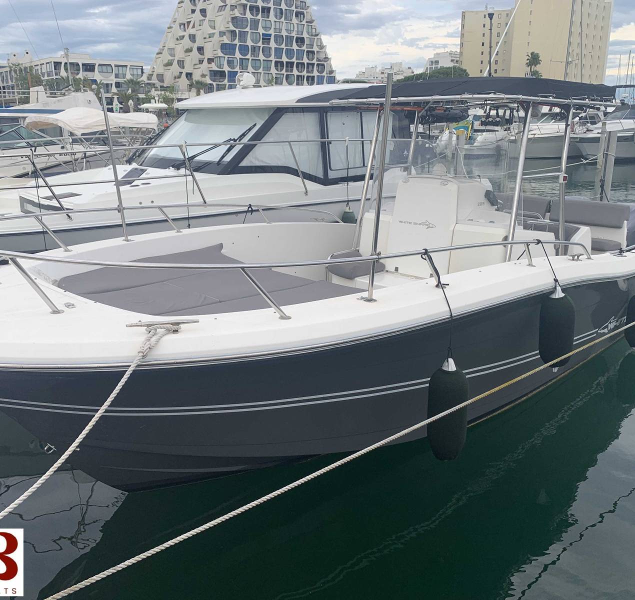 WHITE SHARK - 285 à vendre