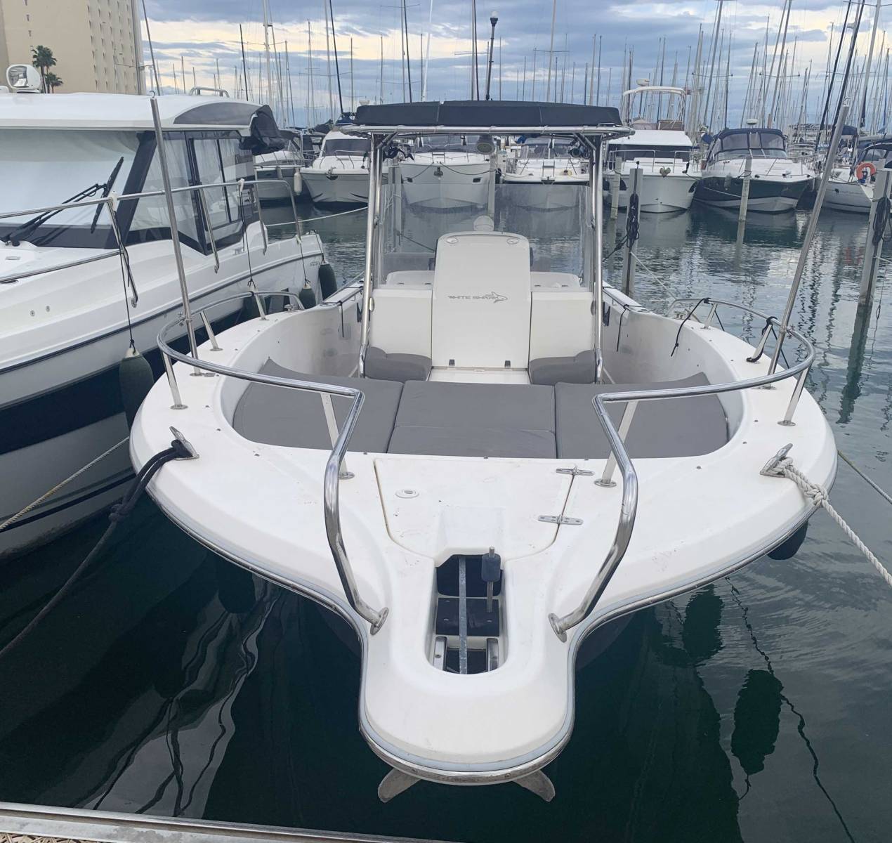 WHITE SHARK - 285 à vendre